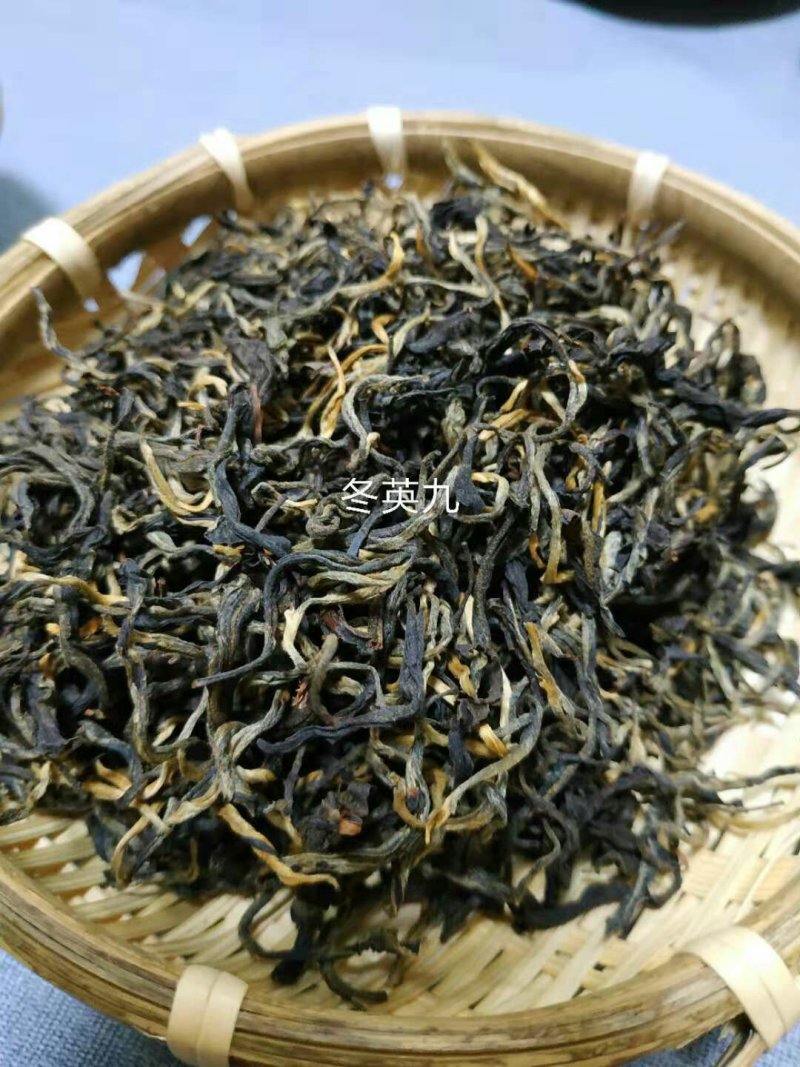 英德红茶英红九号新鲜红茶春茶秋茶冬茶上特级