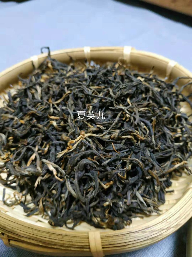 英德红茶英红九号新鲜红茶春茶秋茶冬茶上特级