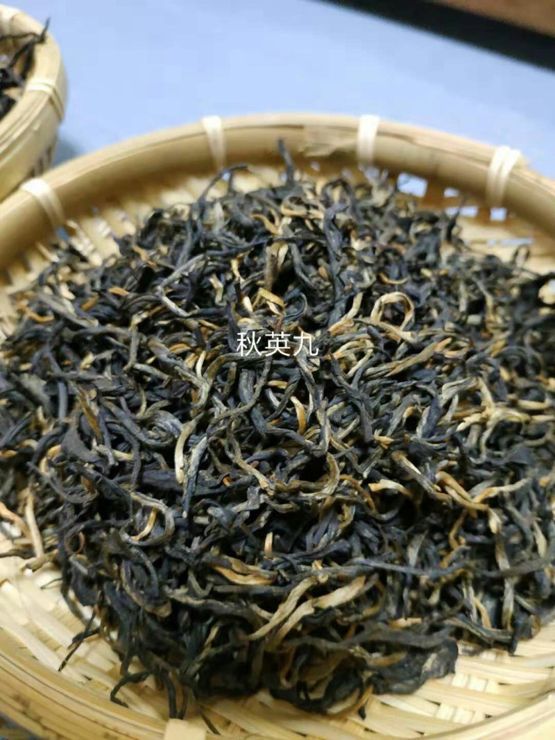 英德红茶英红九号新鲜红茶春茶秋茶冬茶上特级