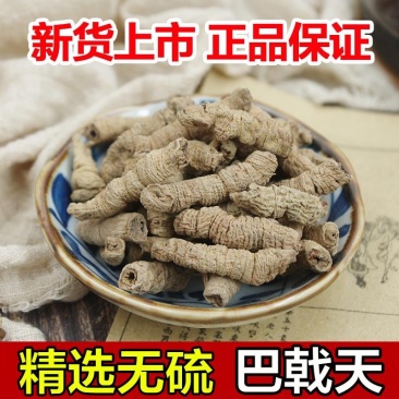 巴戟天