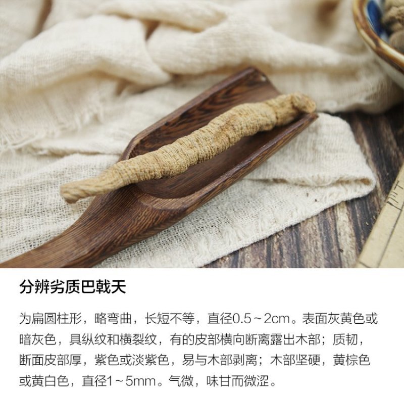 巴戟天
