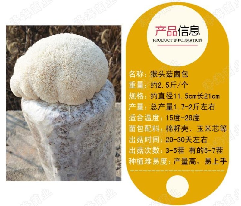 猴头菇菌包菌棒出菇棒