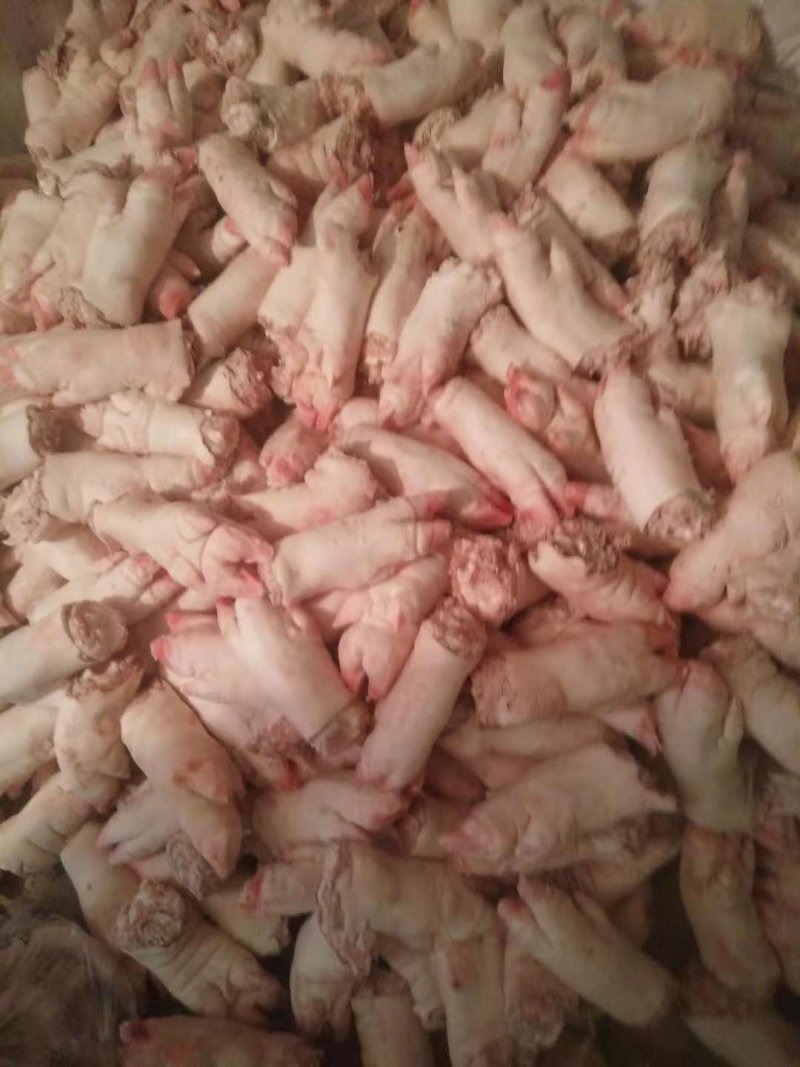 母猪前后混合猪蹄