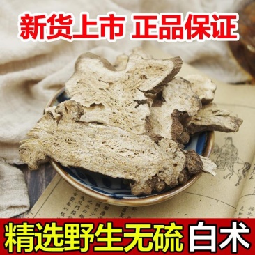 白术