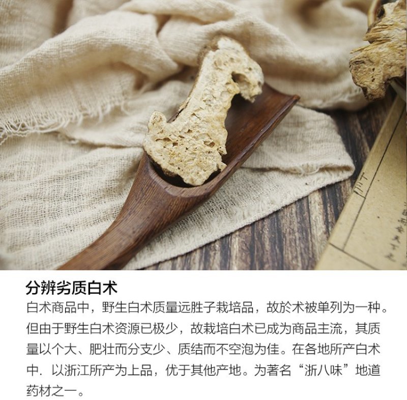 白术