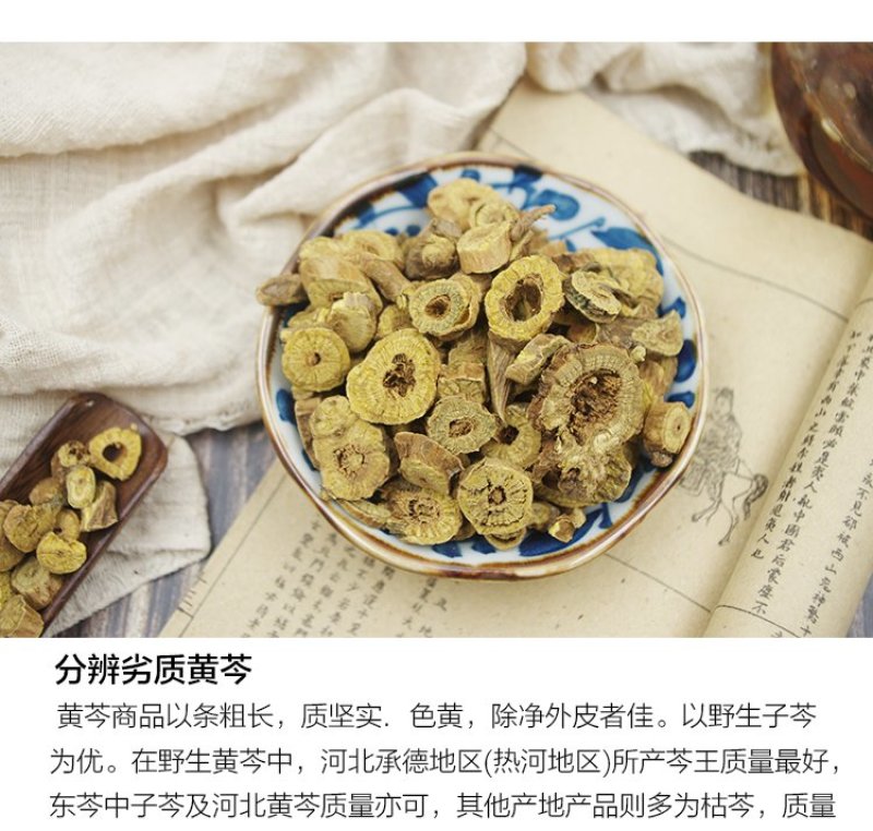 黄芩