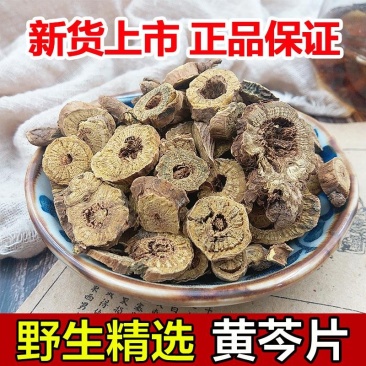 黄芩