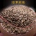 蒲公英种子精选纯新采收包发芽提供种植技术
