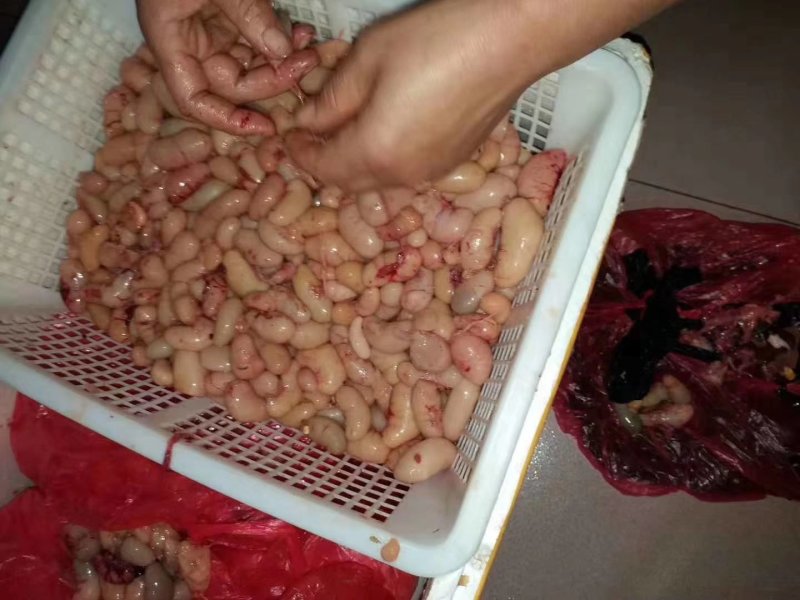 鸡卵，鸡腰