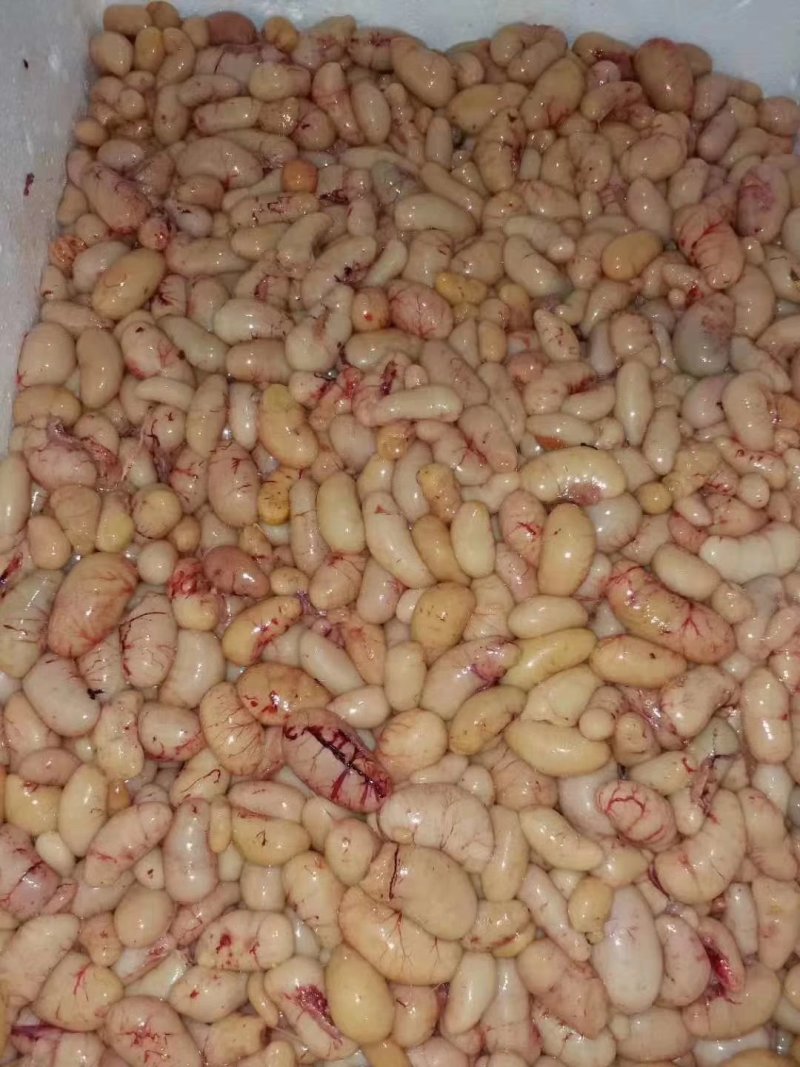 鸡卵，鸡腰