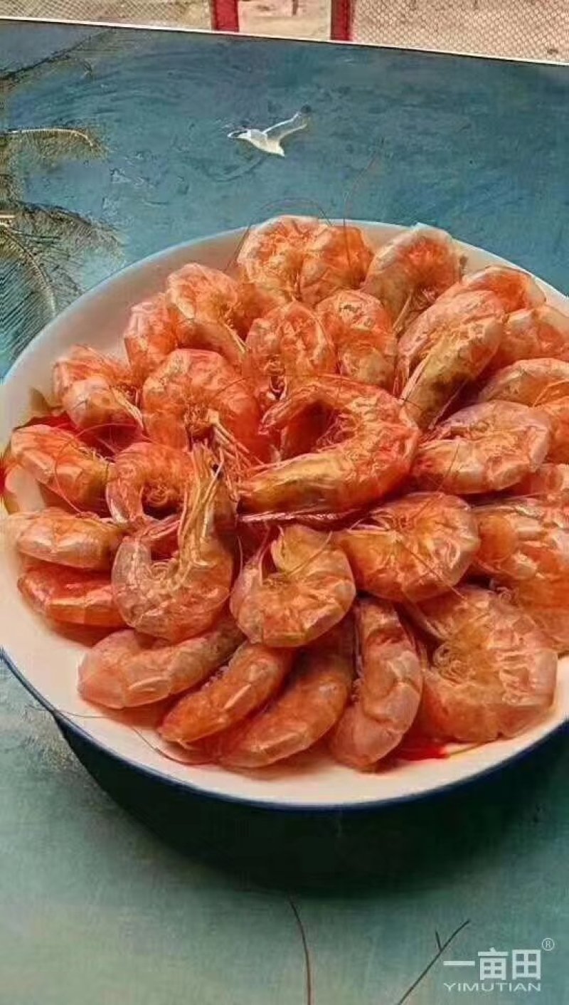 精品虾仁一级