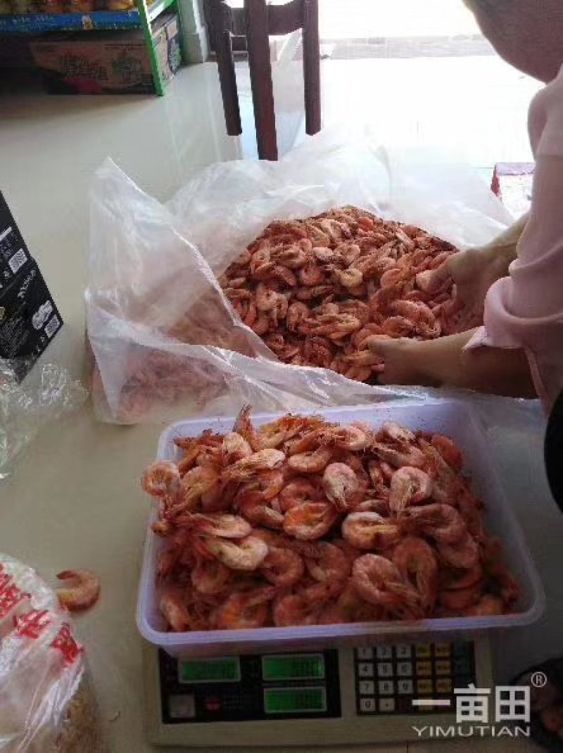 精品虾仁一级