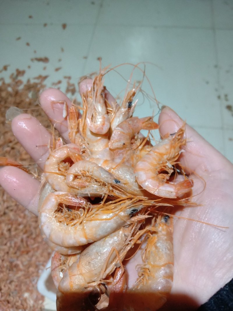 精品虾仁一级