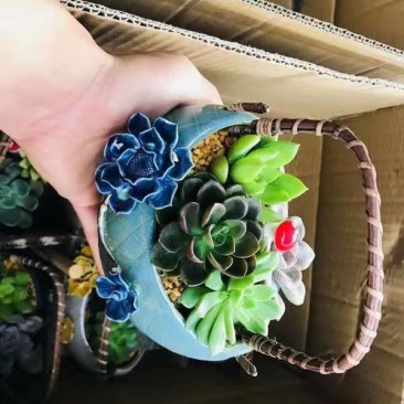 2朵花吊篮，一件6盆