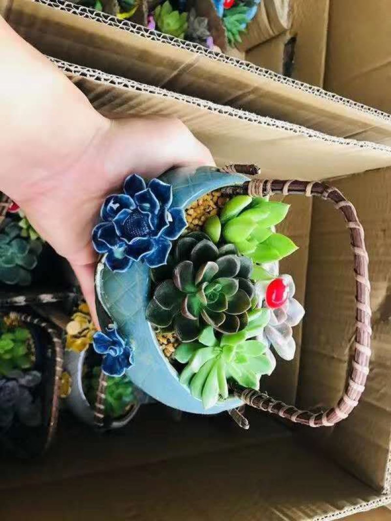 2朵花吊篮，一件6盆