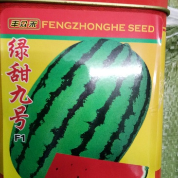 西瓜种子硬皮西瓜种子（绿甜九号）