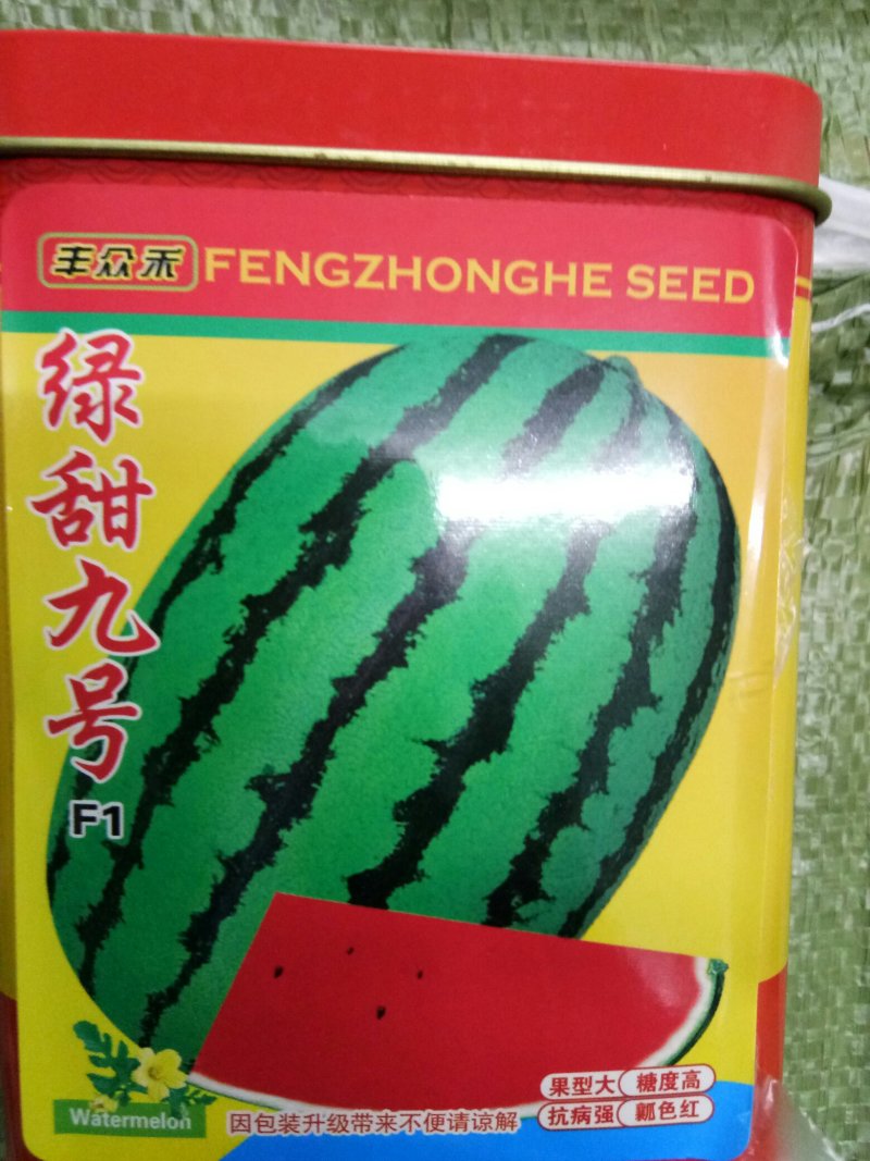 西瓜种子硬皮西瓜种子（绿甜九号）