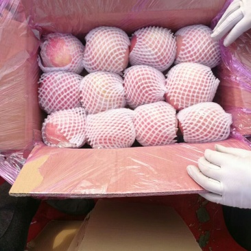 山西纸加膜富士冰糖心苹果80起