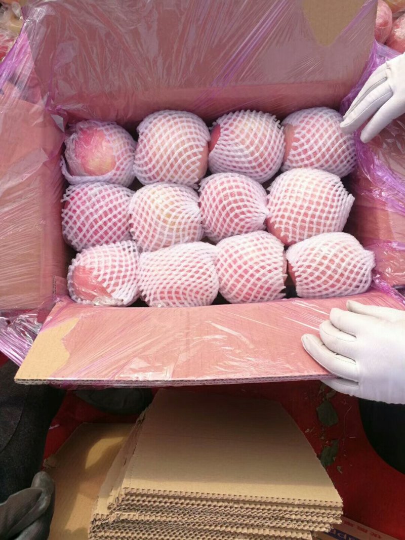 山西纸加膜富士冰糖心苹果80起