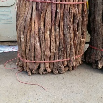锁阳选装货