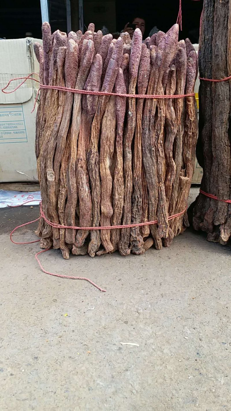 锁阳选装货