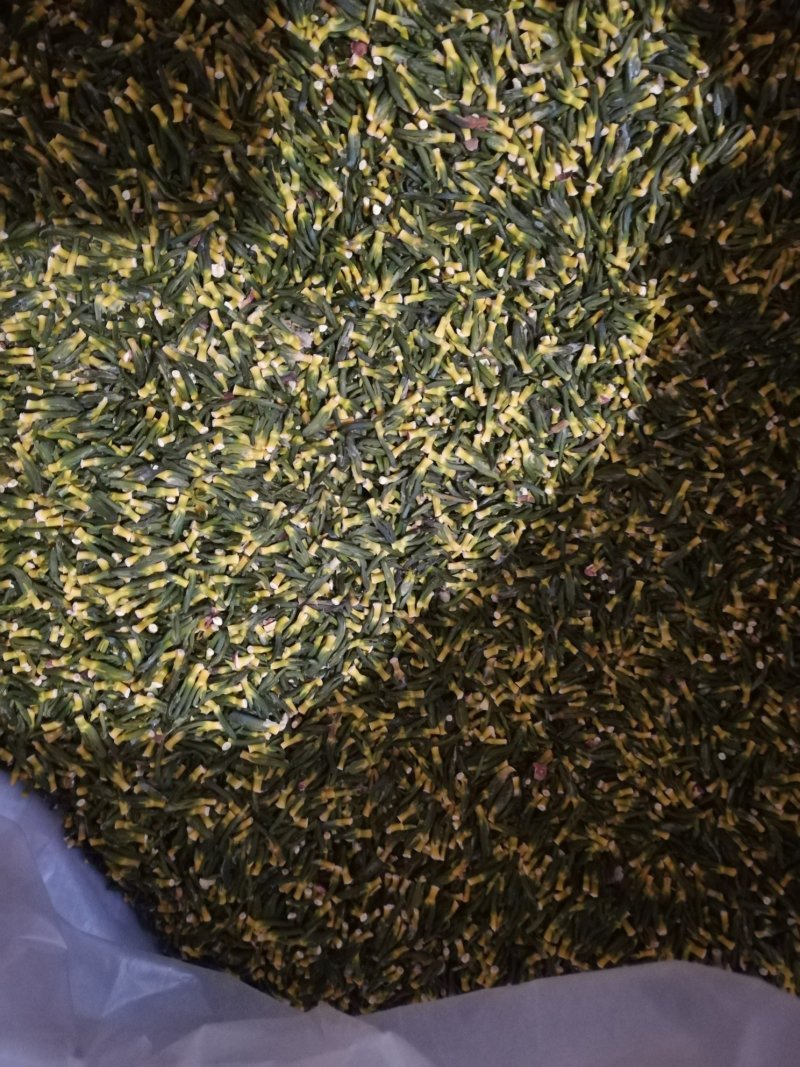 精选莲子芯一斤起批5斤起包邮
