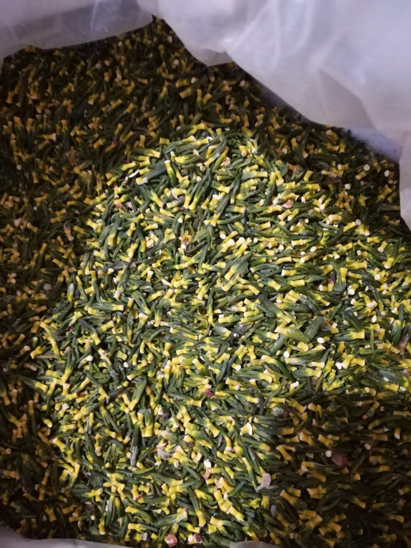 精选莲子芯一斤起批5斤起包邮