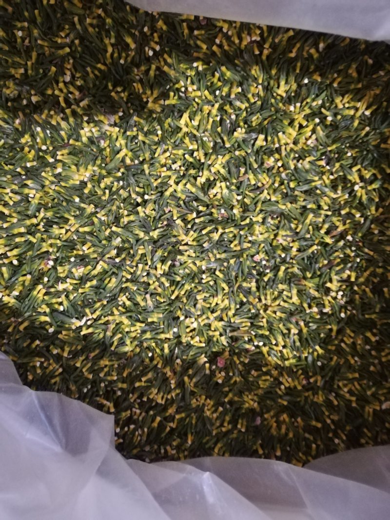 精选莲子芯一斤起批5斤起包邮