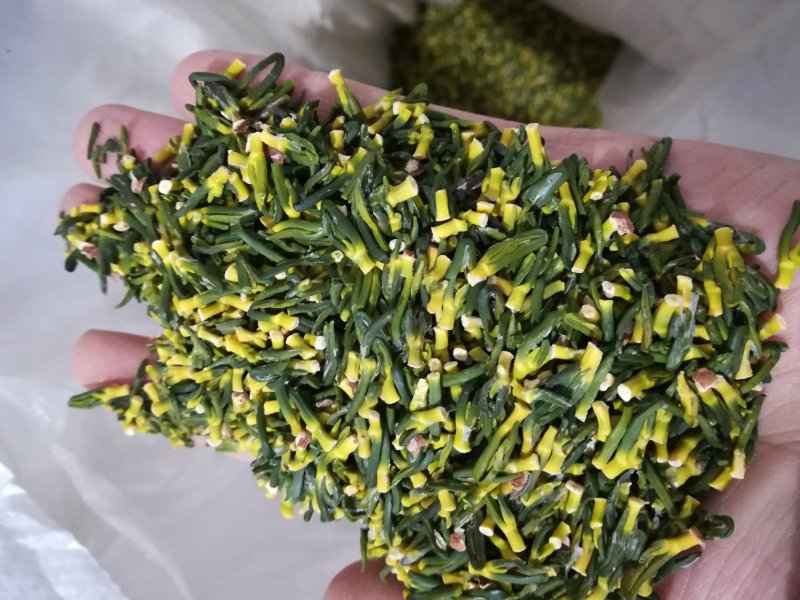 精选莲子芯一斤起批5斤起包邮