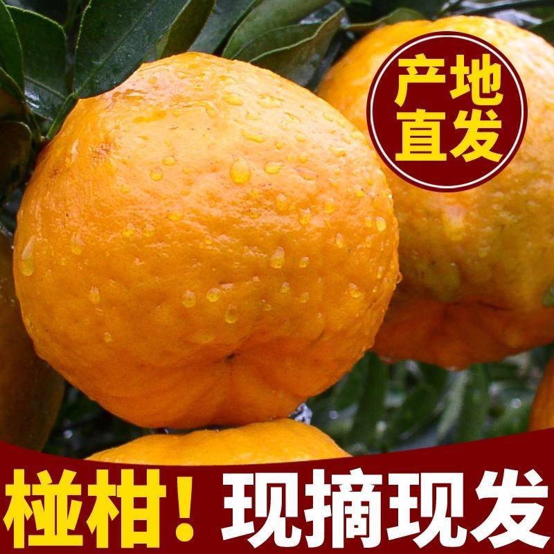 宜昌椪柑，自家的50万斤，欢迎来电骚扰！