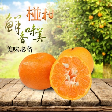 宜昌椪柑，自家的50万斤，欢迎来电骚扰！