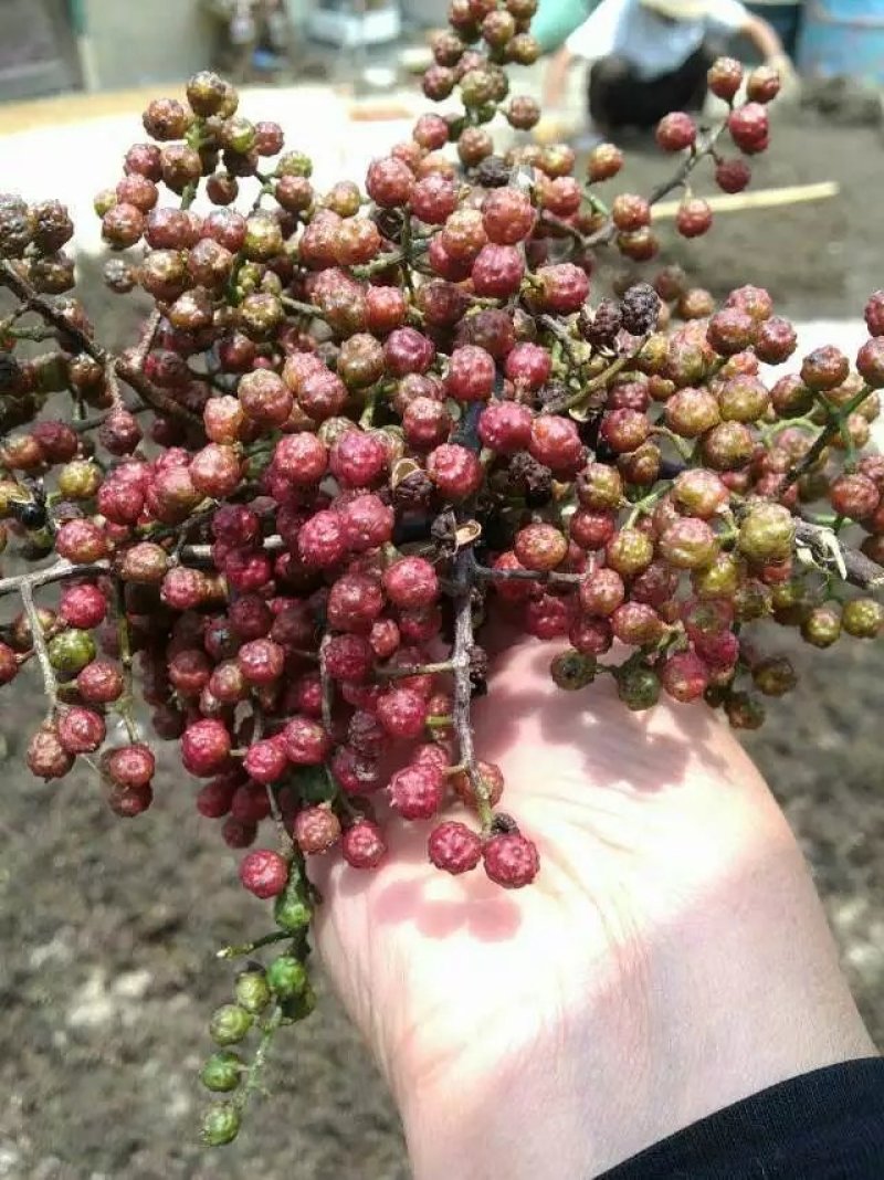 山花椒