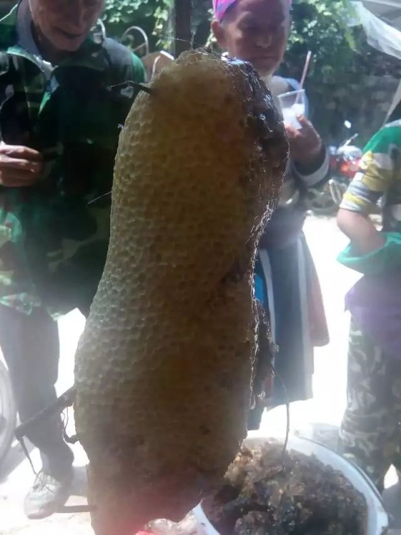 野蜂蜜