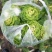 超级黄心菜