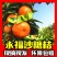 [广西柑桔-沙糖桔4~5cm一级大量现货欢迎咨询
