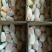 [广西柑桔-沙糖桔4~5cm一级大量现货欢迎咨询