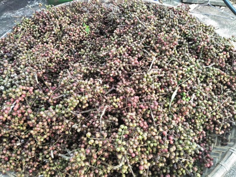 山花椒