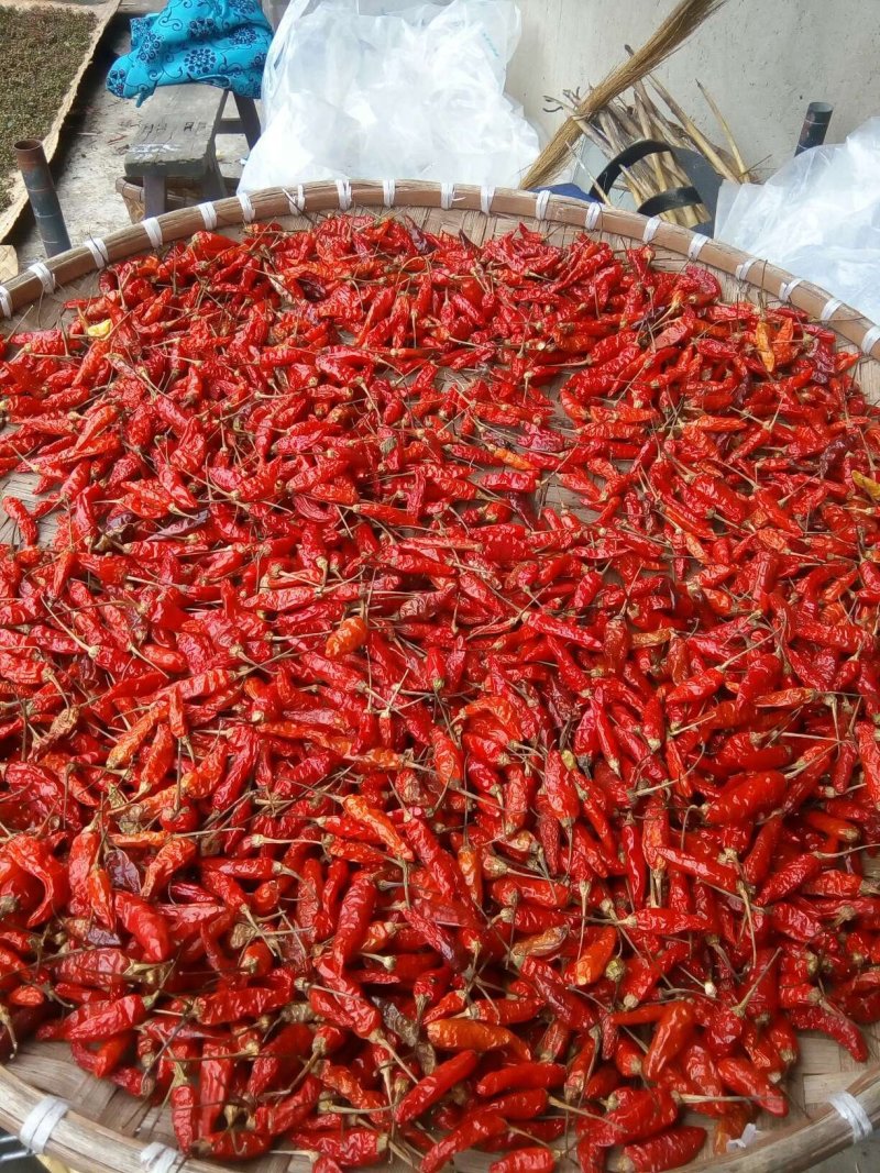 山花椒