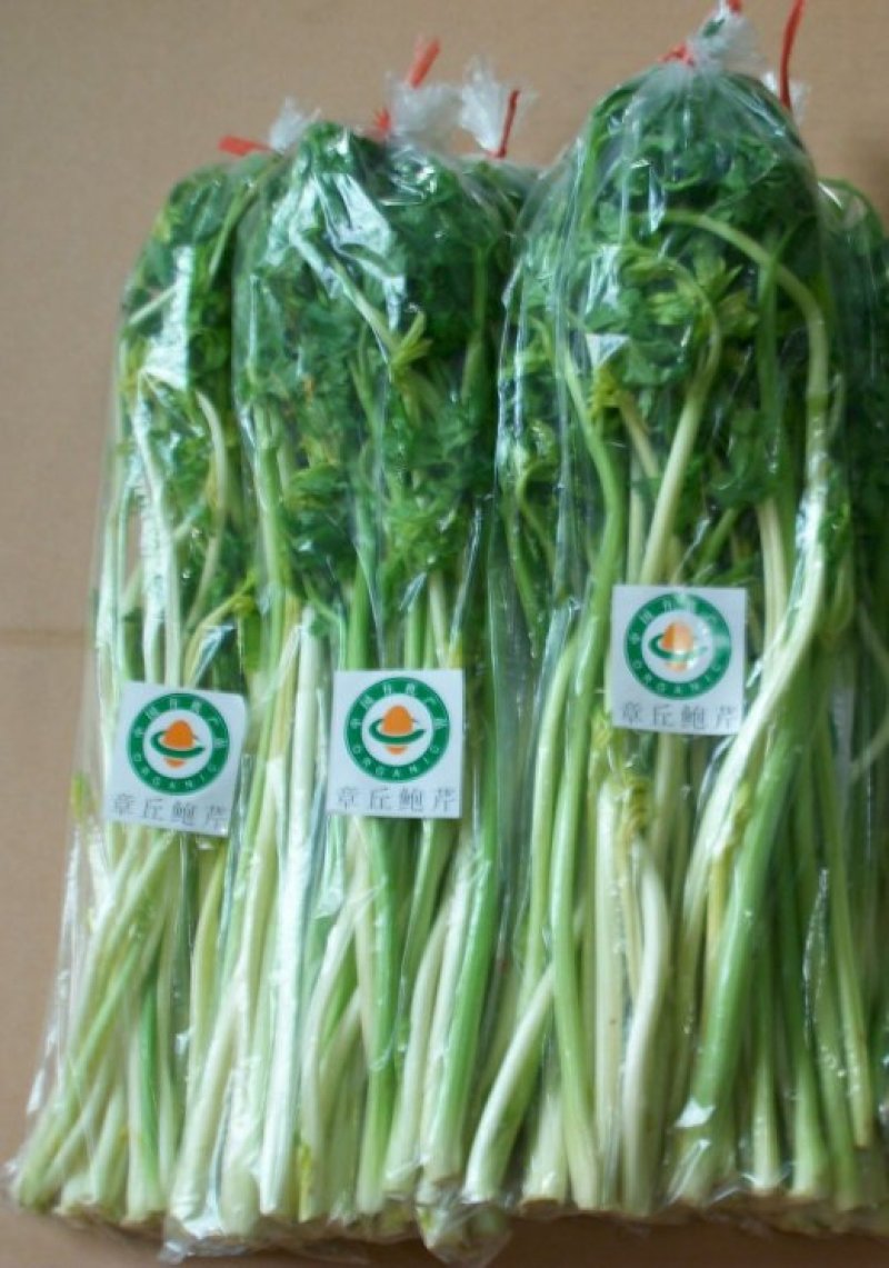 正宗章丘鲍芹，质量好价格低对接电商酒店市场