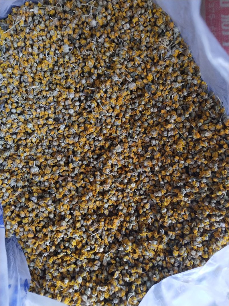 野菊花精品