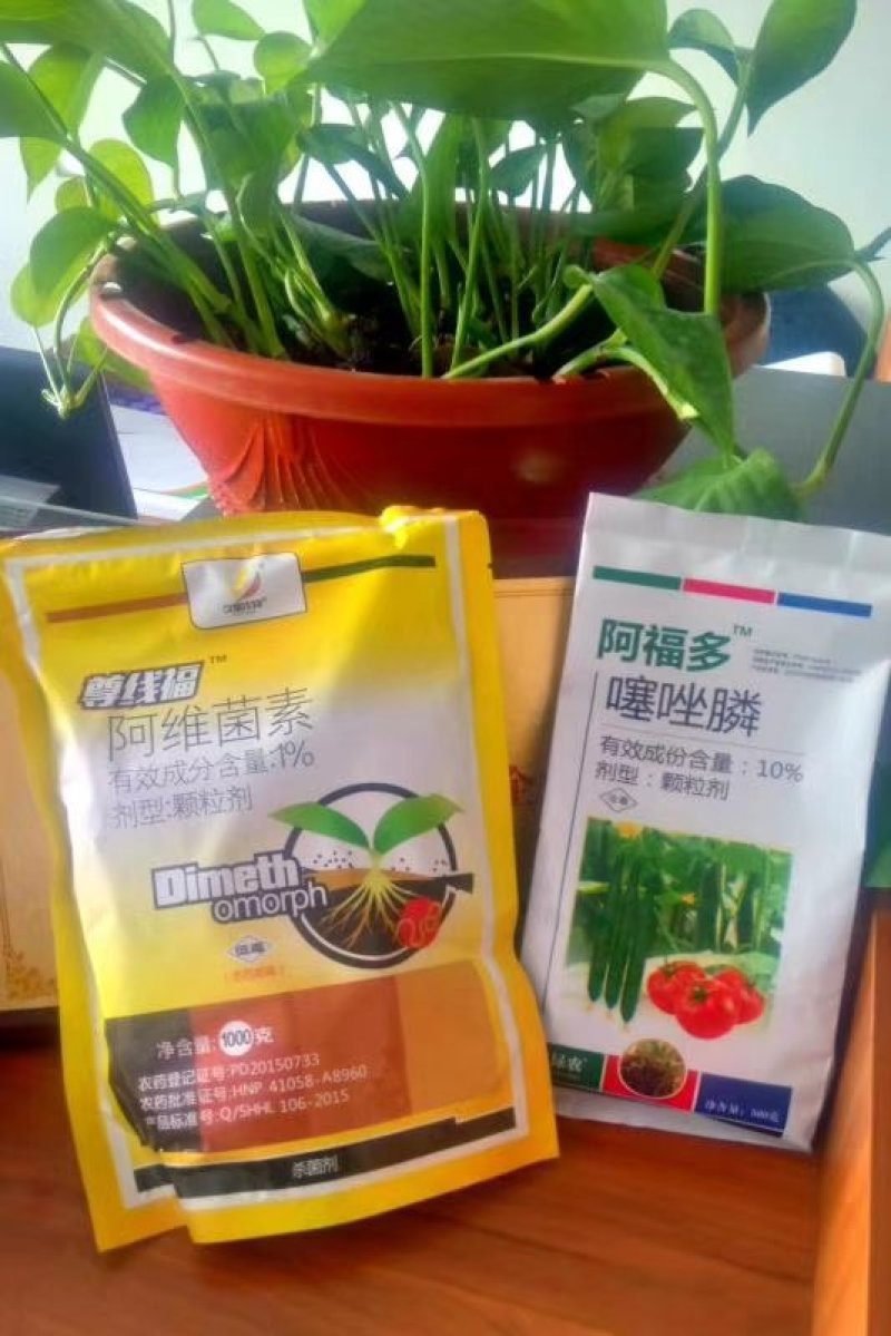 根结线虫专用药噻唑膦颗粒剂根瘤线虫药定植期穴施撒施坑施