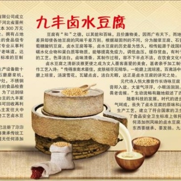 河北九丰食品石磨豆腐