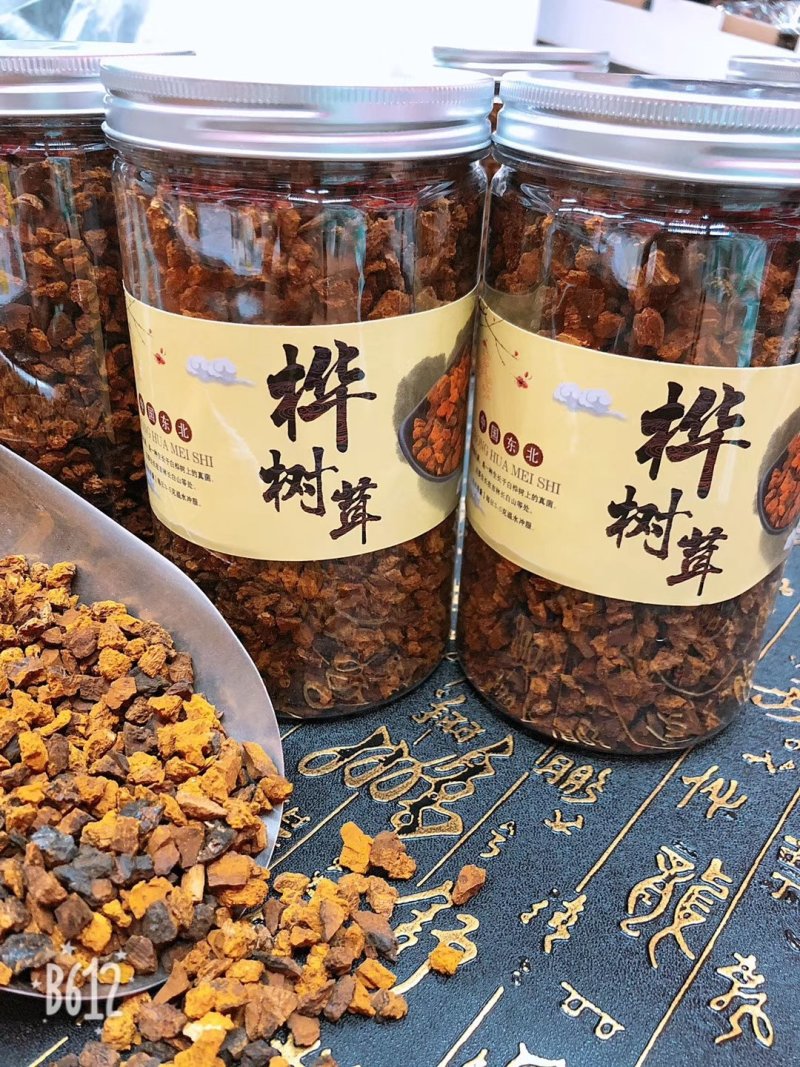 包邮桦树茸桦树孔菌颗粒基地常年供应量大从优