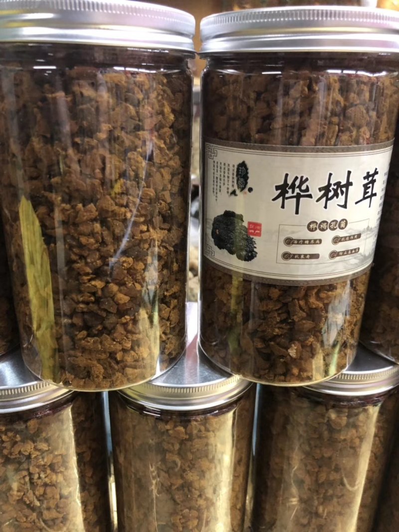 包邮桦树茸桦树孔菌颗粒基地常年供应量大从优