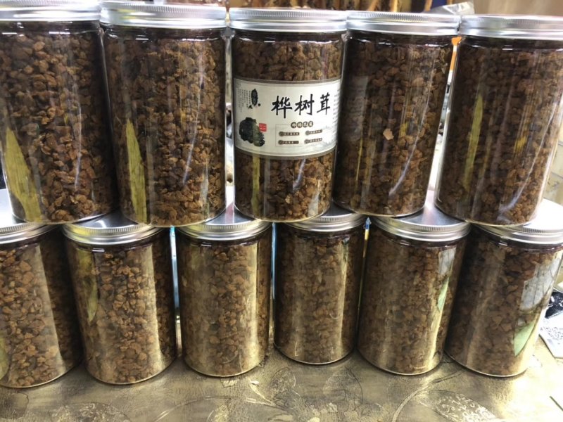 包邮桦树茸桦树孔菌颗粒基地常年供应量大从优