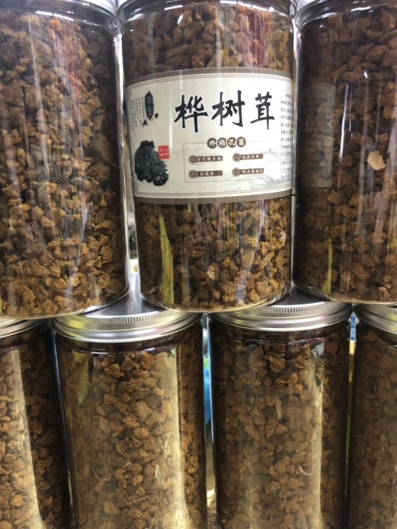 包邮桦树茸桦树孔菌颗粒基地常年供应量大从优