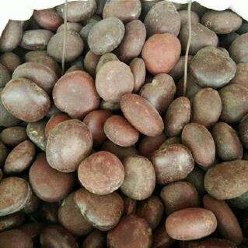 包邮木腰子一公斤起卖