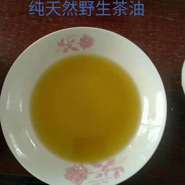 大别山纯野生山茶油！