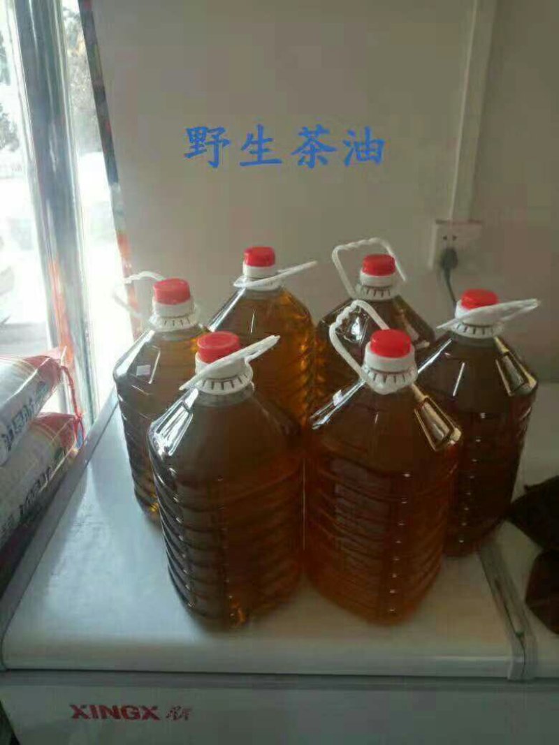 大别山纯野生山茶油！