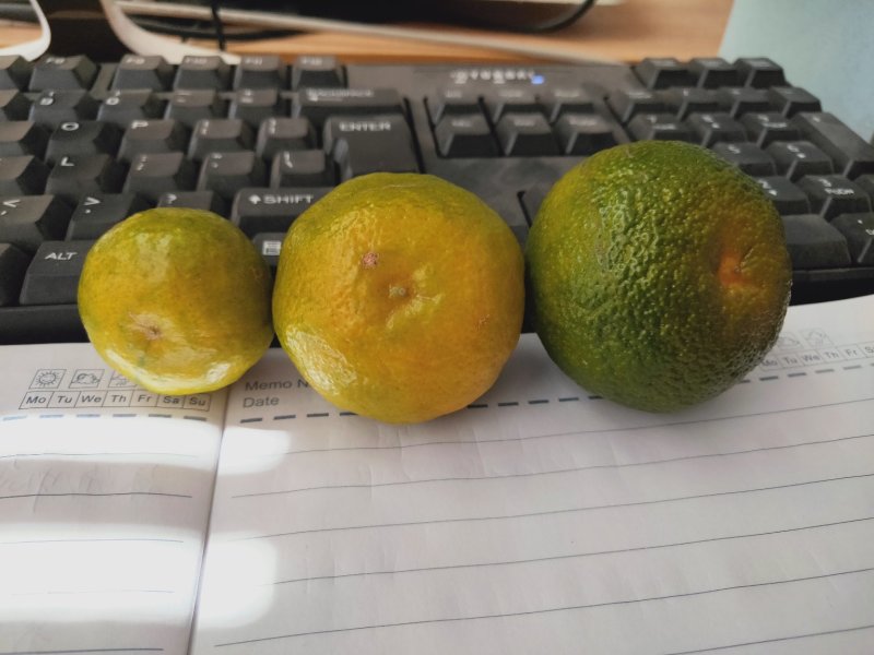 广西柑桔-蜜橘清香蜜橘大量现货欢迎咨询下单